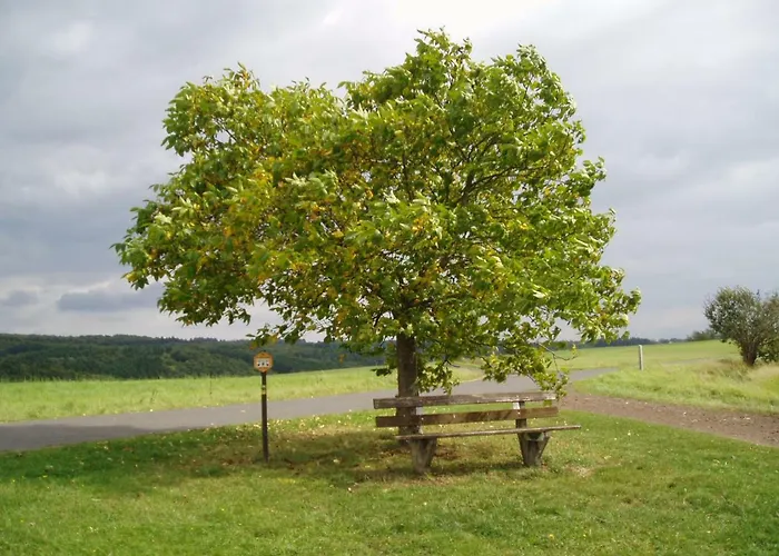 Prázdninový dům Eifelcottage Family 7