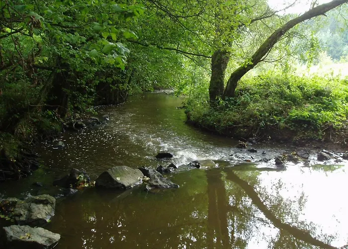 Prázdninový dům Eifelcottage Family 7