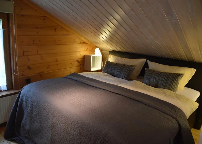 Eifelcottage Family 7 Prázdninový dům *